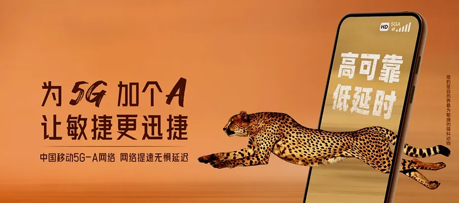 乐至县乐至县石湍镇 移动宽带