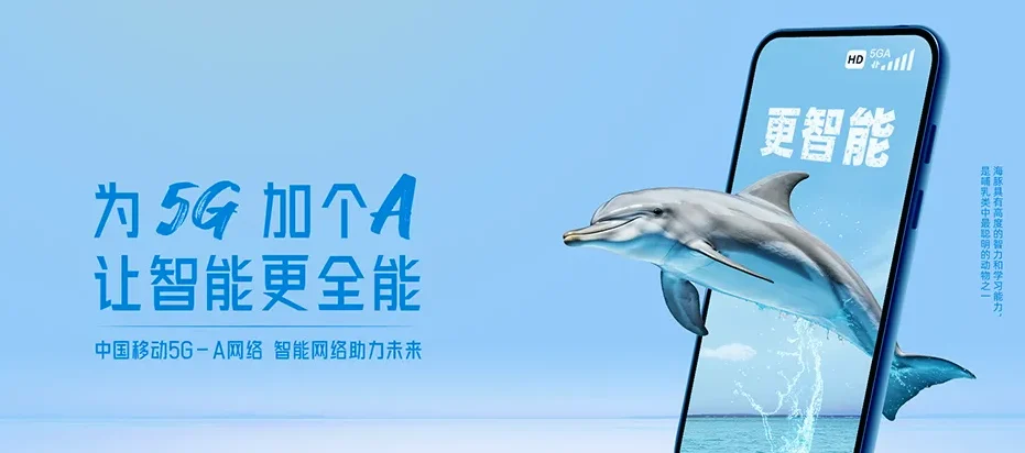 乐至县乐至县蟠龙镇 移动宽带